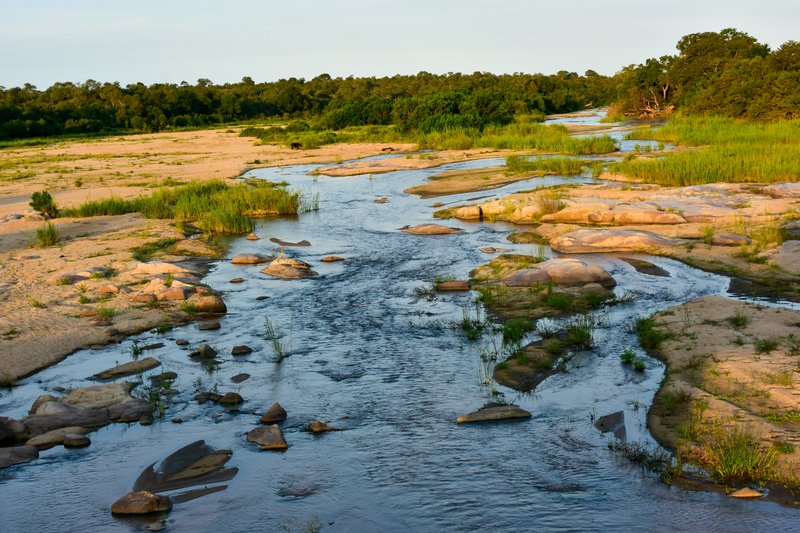 Rivière Sabie   Afrique du Sud, Parc national Kruger