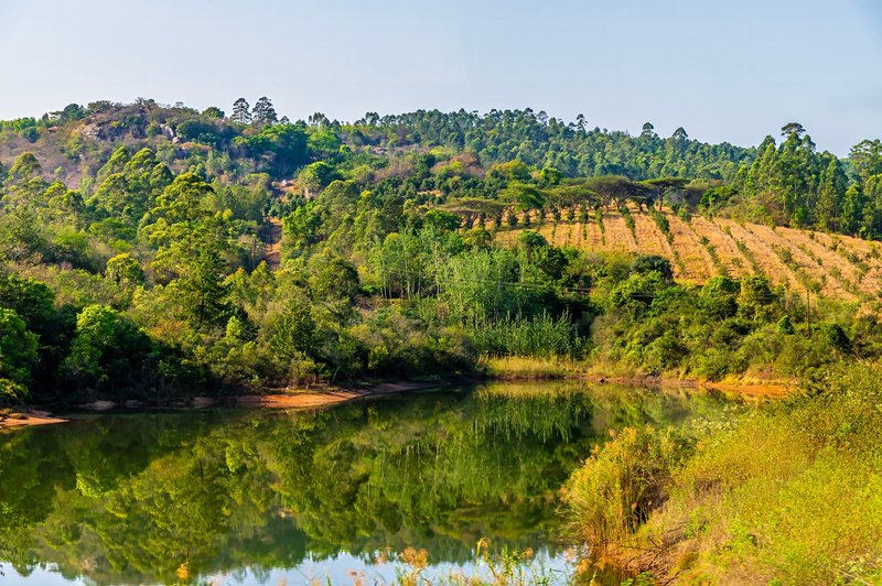Rivière Sabie, Afrique du Sud