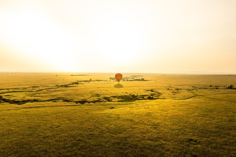 Masai Mara, Tanzanie