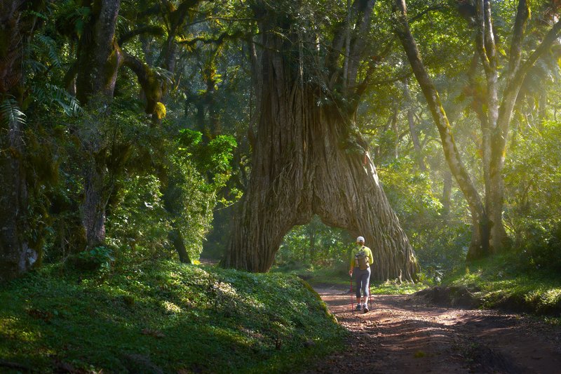 Randonnée, Tanzanie