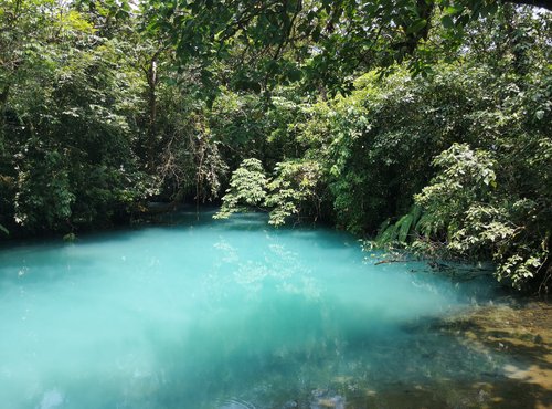 Souvenir du voyage de Salvatore, Costa Rica