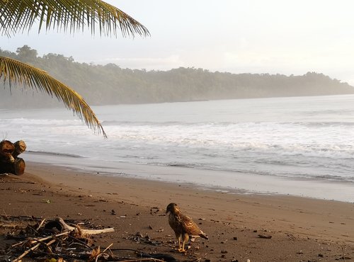 Souvenir du voyage de Salvatore, Costa Rica