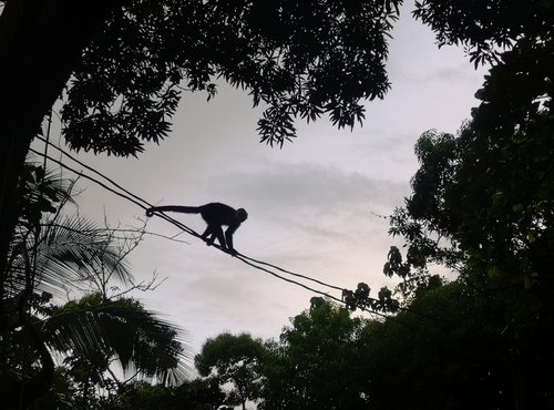 Souvenir du voyage de Salvatore, Costa Rica