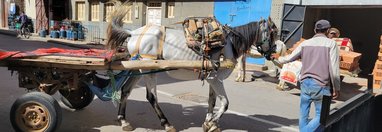 Souvenir du voyage de Christele, Maroc