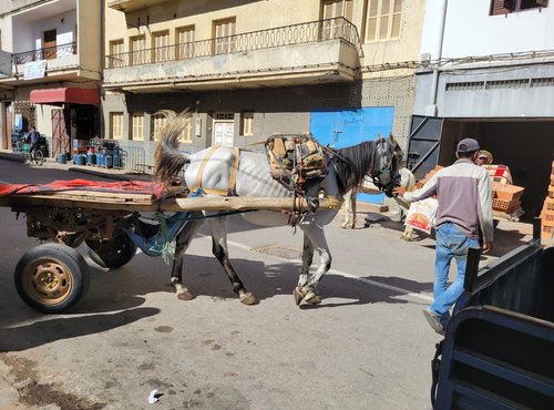 Souvenir du voyage de Christele, Maroc