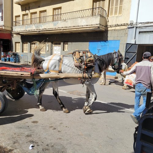 Souvenir du voyage de Christele, Maroc