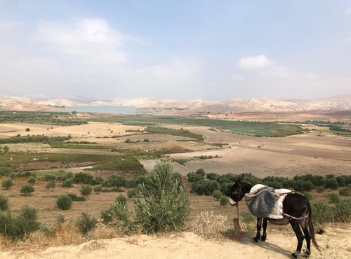 Souvenir du voyage de Christele, Maroc