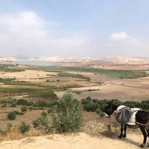 Souvenir du voyage de Christele, Maroc