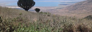 Souvenir du voyage de Élodie, Tanzanie