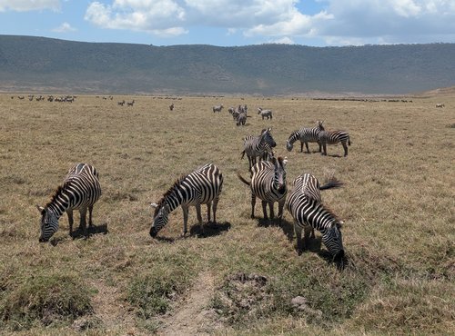 Souvenir du voyage de Élodie, Tanzanie