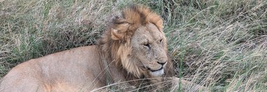 Souvenir du voyage de Élodie, Tanzanie