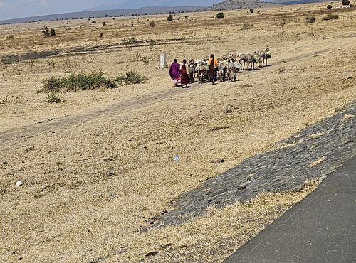 Souvenir du voyage de Déborah, Tanzanie