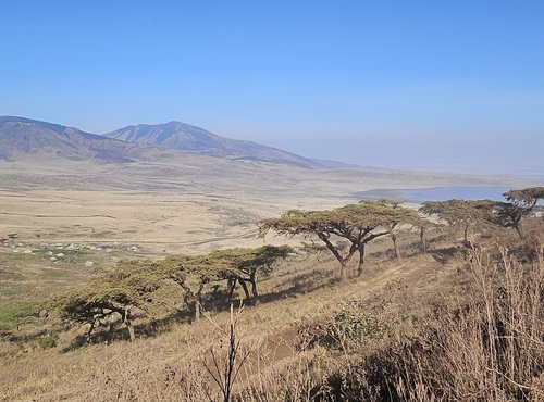 Souvenir du voyage de Déborah, Tanzanie