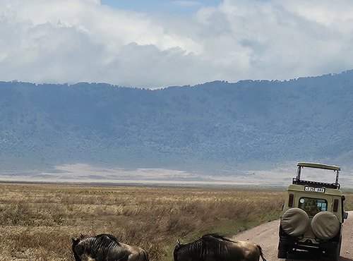 Souvenir du voyage de Déborah, Tanzanie