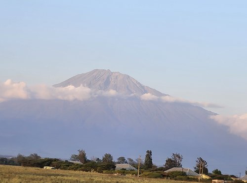 Souvenir du voyage de Déborah, Tanzanie