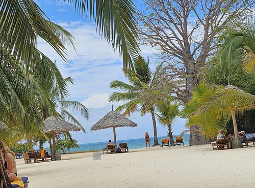 Souvenir du voyage de Déborah, Tanzanie