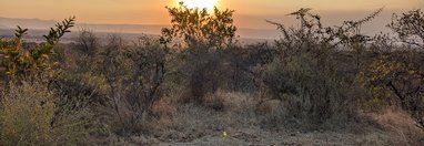 Souvenir du voyage de Guillaume, Tanzanie