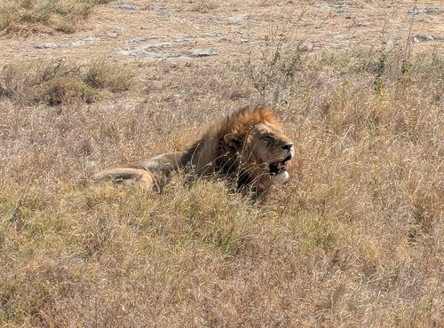 Souvenir du voyage de Guillaume, Tanzanie