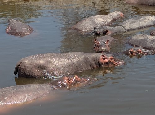 Souvenir du voyage de Guillaume, Tanzanie