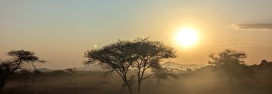 Souvenir du voyage de Guillaume, Tanzanie