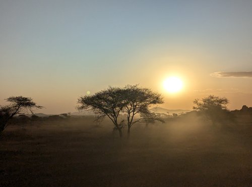 Souvenir du voyage de Guillaume, Tanzanie