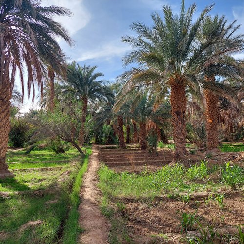 Souvenir du voyage de Claire, Maroc