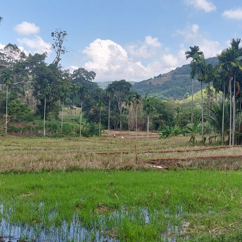 Souvenir du voyage de Gwenaël, Sri Lanka