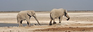 Souvenir du voyage de Sandrine, Namibie