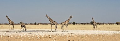 Souvenir du voyage de Sandrine, Namibie