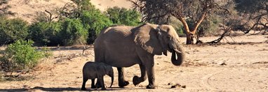 Souvenir du voyage de Sandrine, Namibie