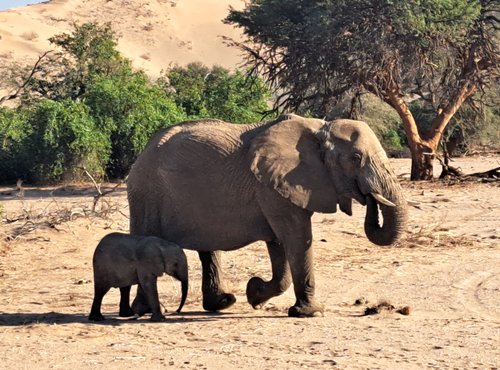 Souvenir du voyage de Sandrine, Namibie