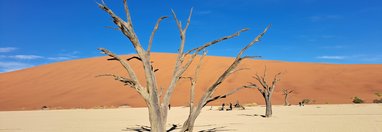 Souvenir du voyage de Sandrine, Namibie