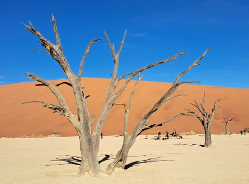 Souvenir du voyage de Sandrine, Namibie