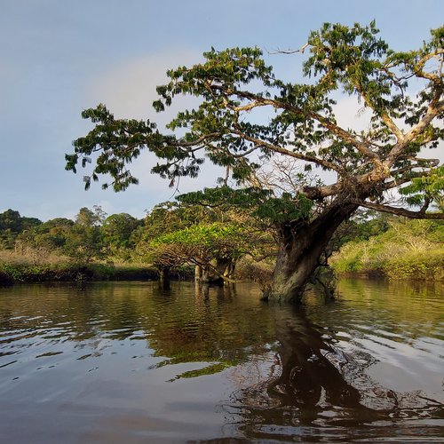 Souvenir du voyage de Philippe, Equateur