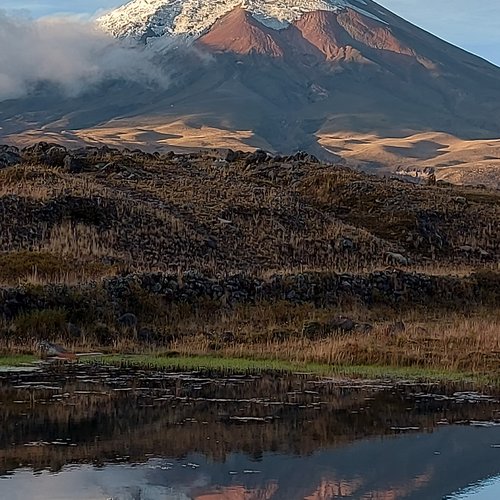 Souvenir du voyage de Philippe, Equateur