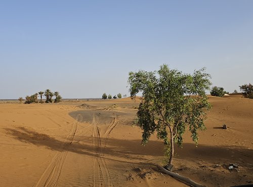 Souvenir du voyage de Laurent, Maroc