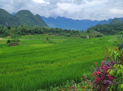 Souvenir du voyage de André, Vietnam