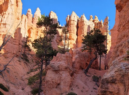 Souvenir du voyage de Philippe, Etats Unis