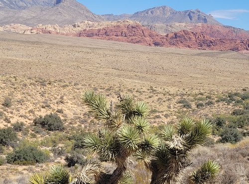 Souvenir du voyage de Philippe, Etats Unis