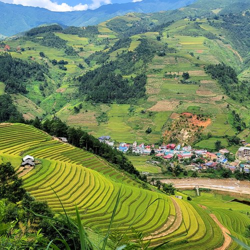 Souvenir du voyage de André, Vietnam