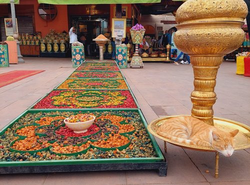 Souvenir du voyage de Aurélie, Maroc