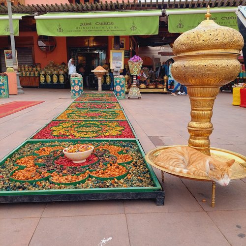 Souvenir du voyage de Aurélie, Maroc