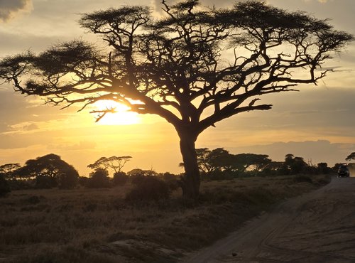 Souvenir du voyage de Raphaël, Kenya