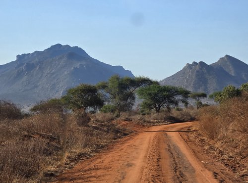 Souvenir du voyage de Raphaël, Kenya