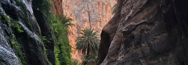 Souvenir du voyage de Christophe, Jordanie