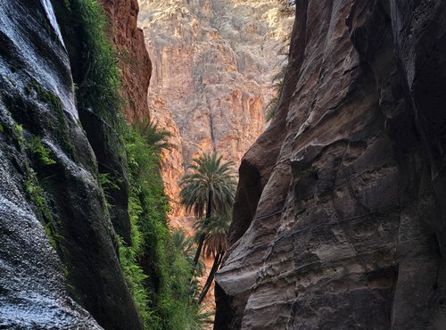 Souvenir du voyage de Christophe, Jordanie