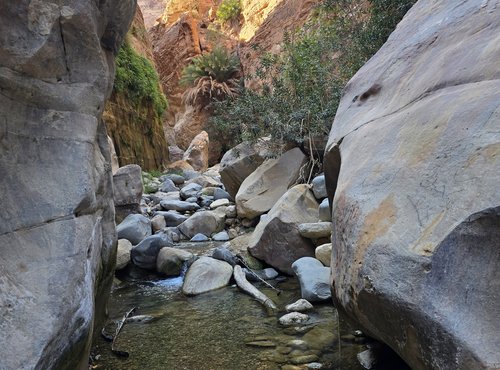 Souvenir du voyage de Christophe, Jordanie