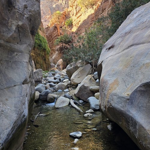 Souvenir du voyage de Christophe, Jordanie