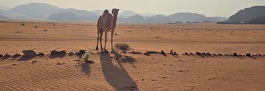 Souvenir du voyage de Christophe, Jordanie