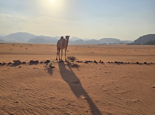 Souvenir du voyage de Christophe, Jordanie